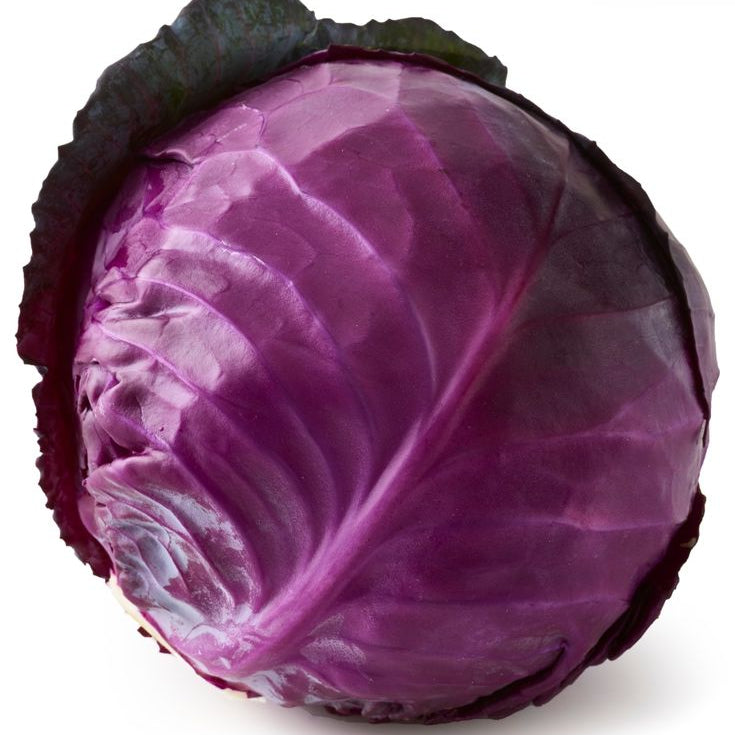 Red Cabbage Head