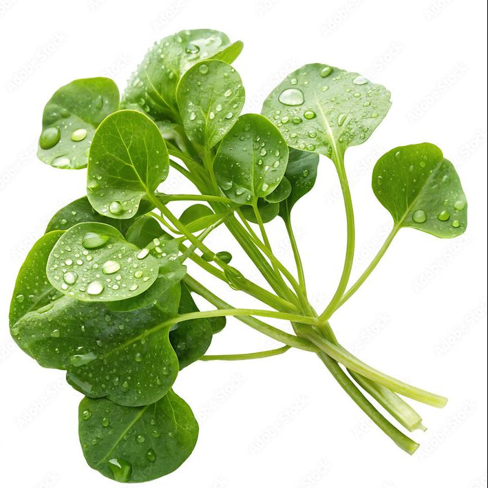 Watercress 100g