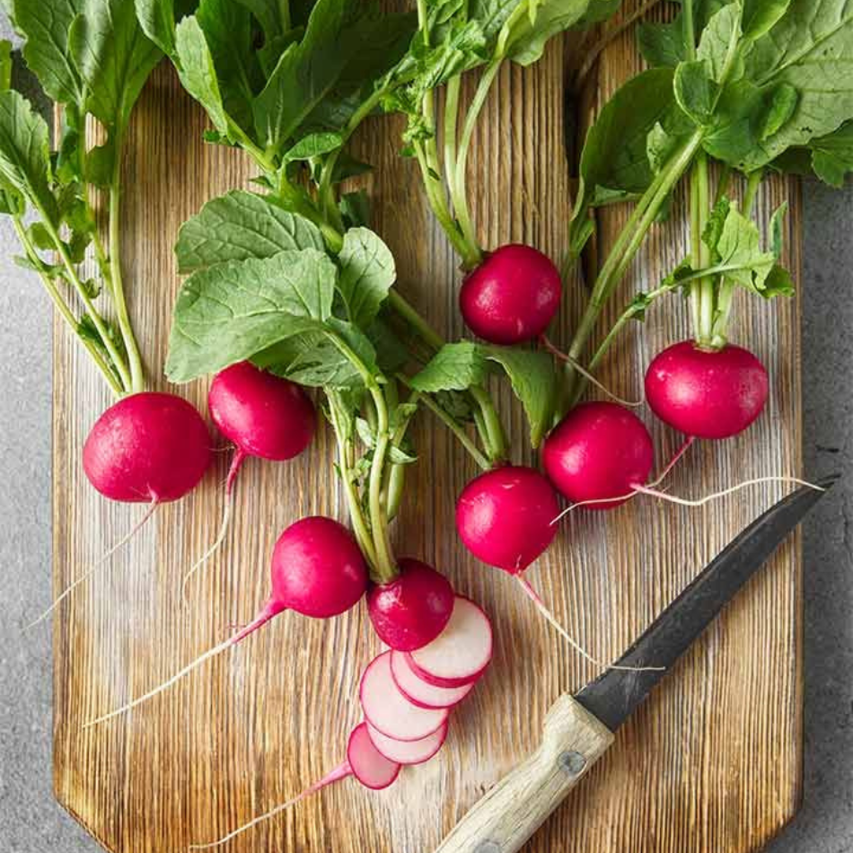 Radish