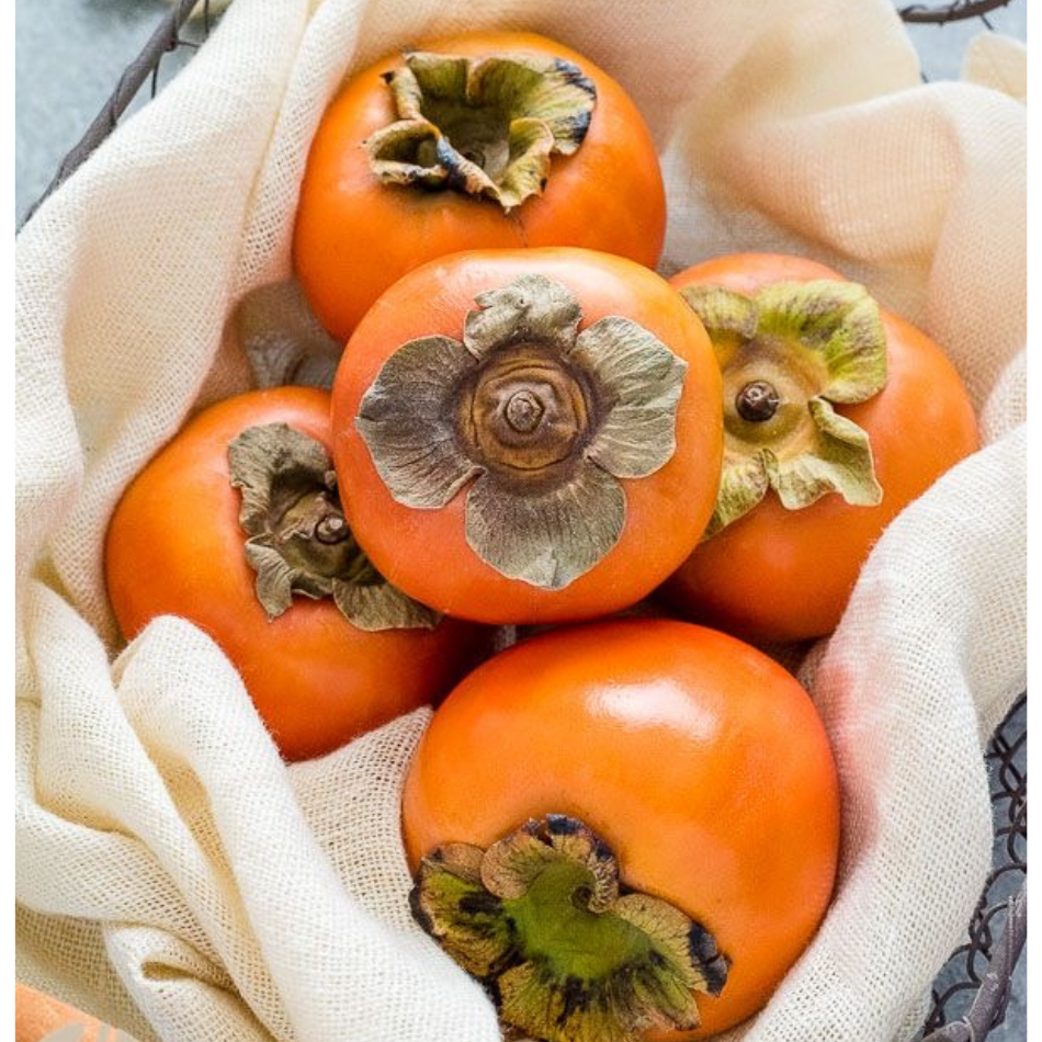Persimmons Tray