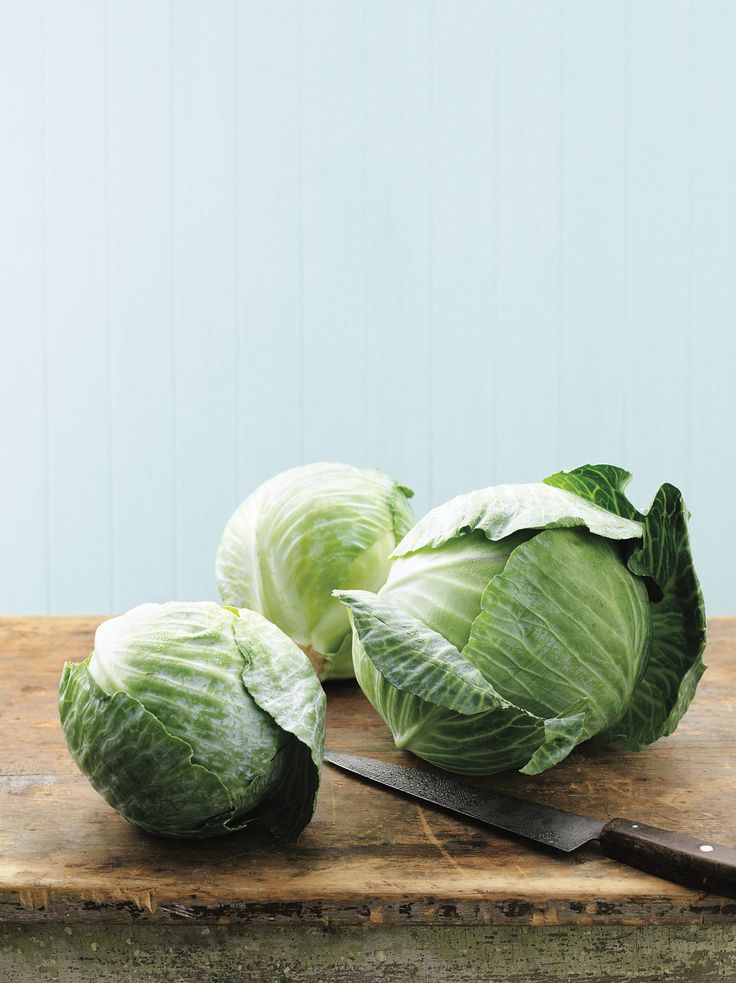 Cabbage