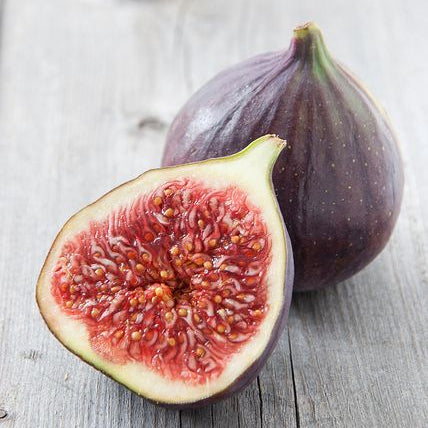 Fig Tray