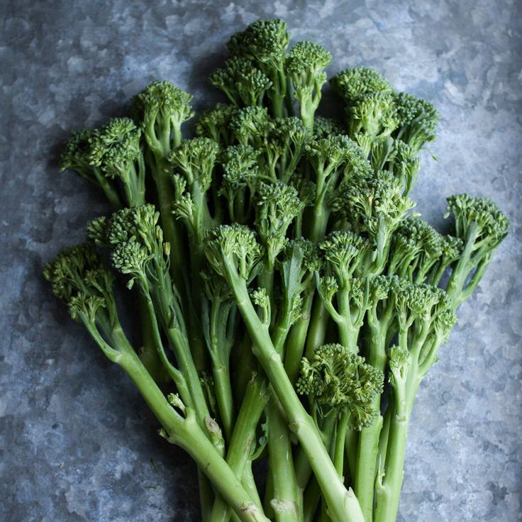 Tender Stem Broccoli