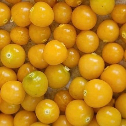 Frozen Gooseberry
