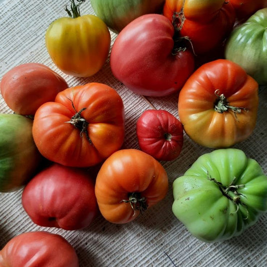 Heirloom Tomatoes