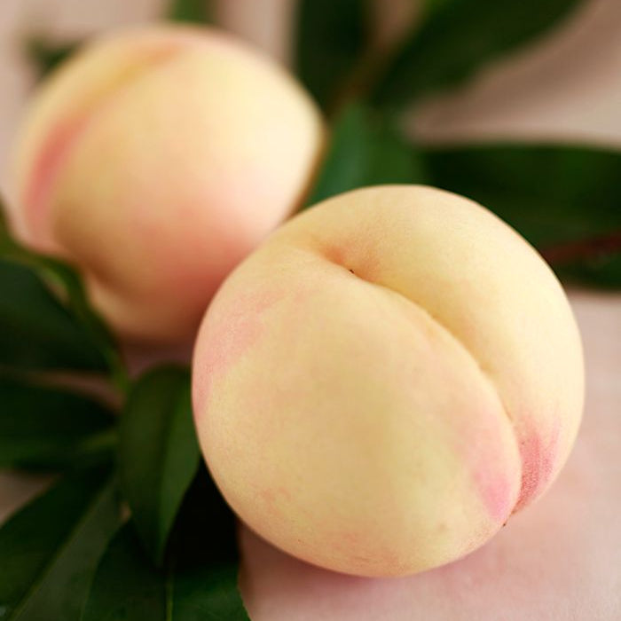 Peaches