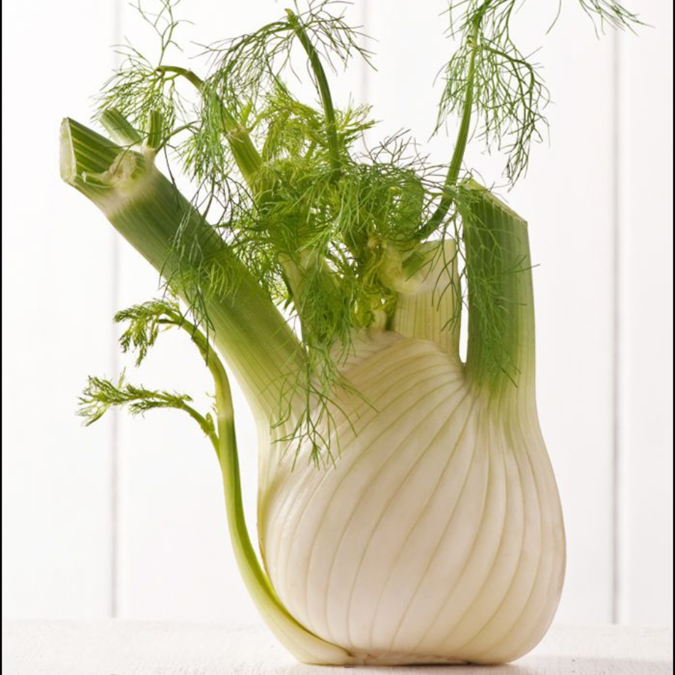 Fennel
