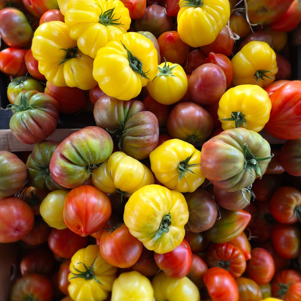 Heirloom Tomatoes