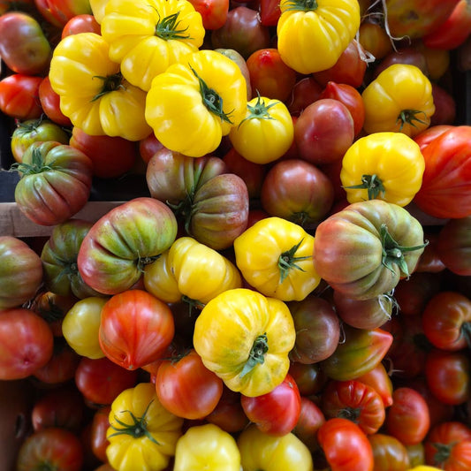 Heirloom Tomatoes