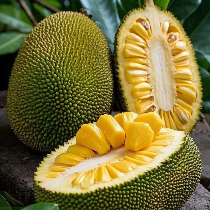 Jackfruit