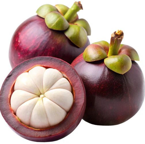 Mangosteen