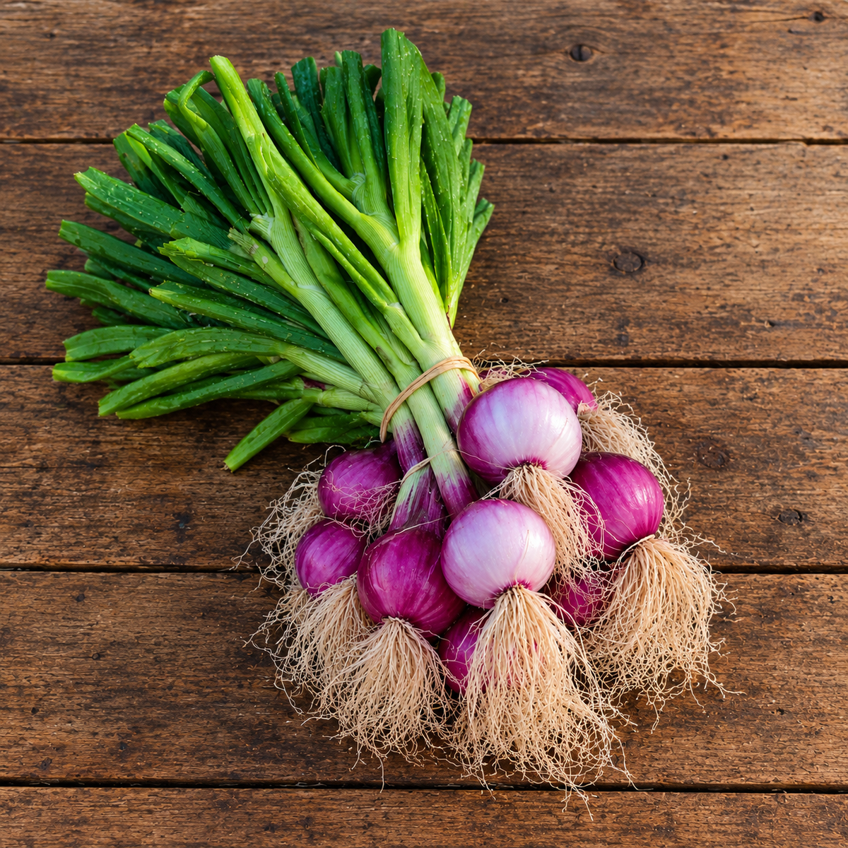 Organic Red Onion Bunch
