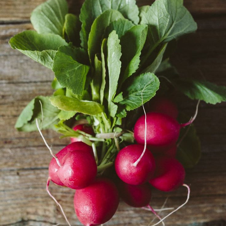 Radish