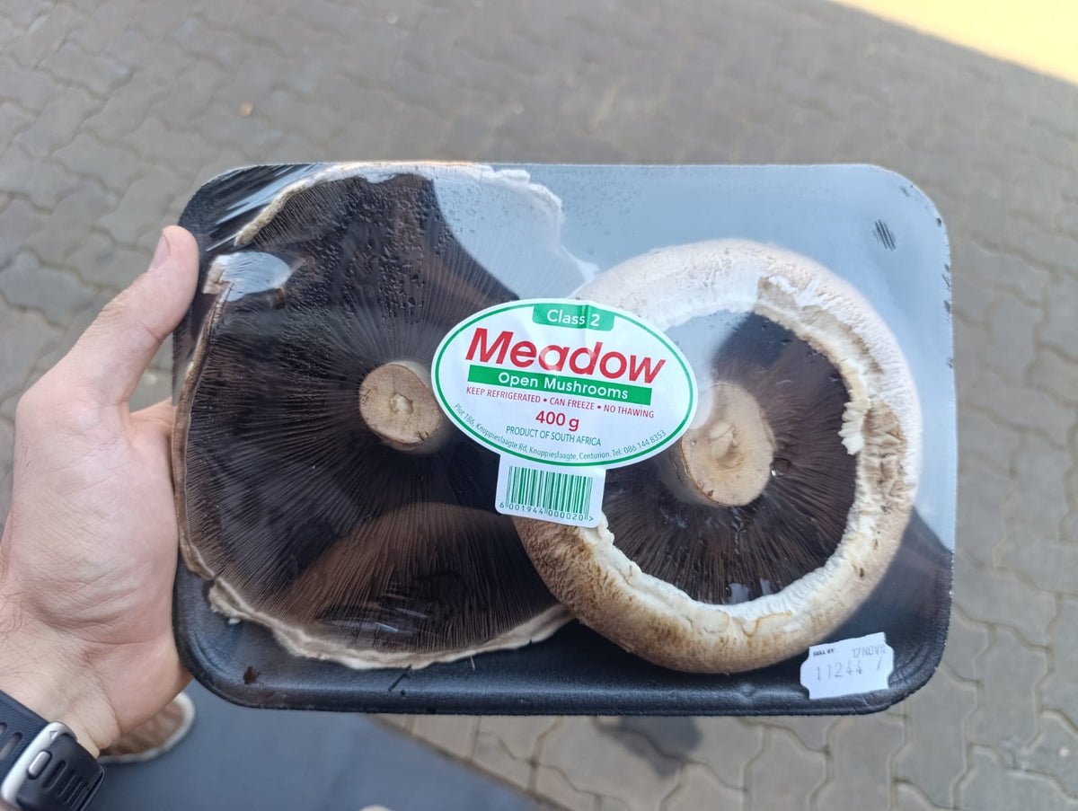 Giant Braai Mushroom