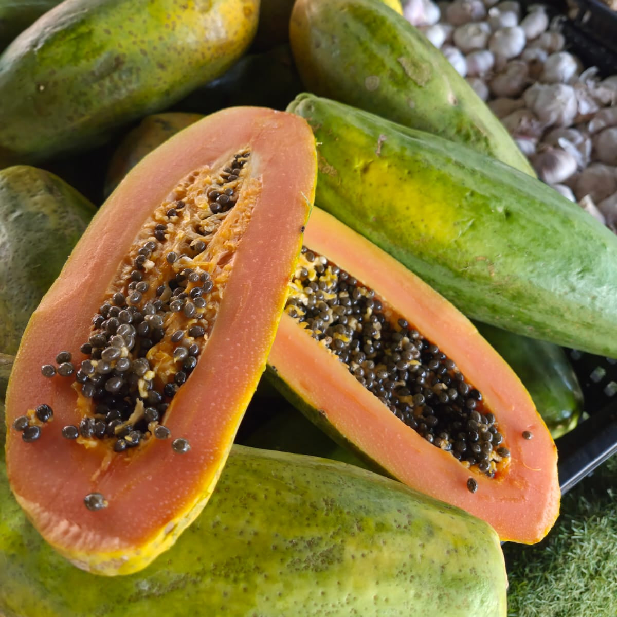 Paw Paw Each