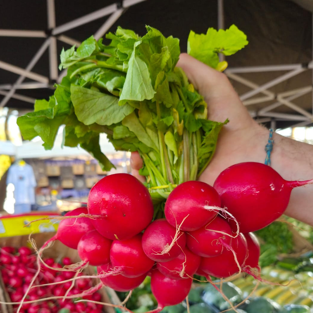 Radish Bunch