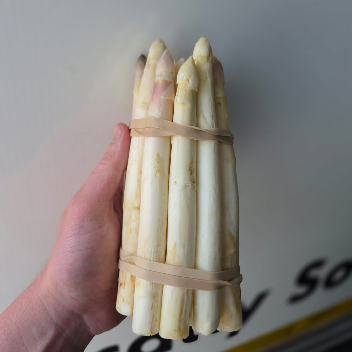 White Asparagus Bunch