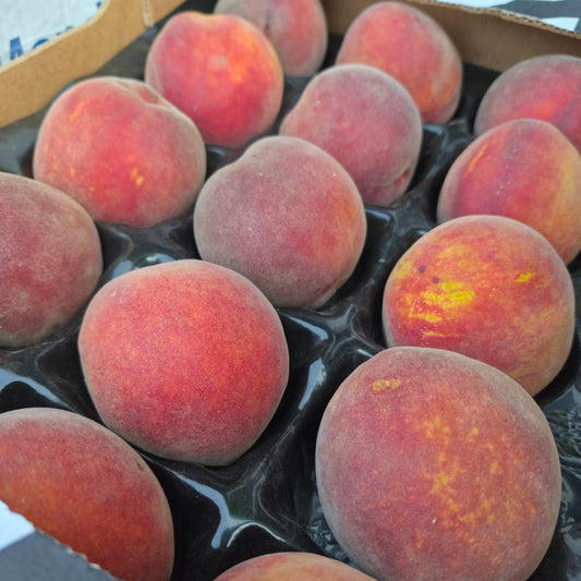 Peach Tray (18)