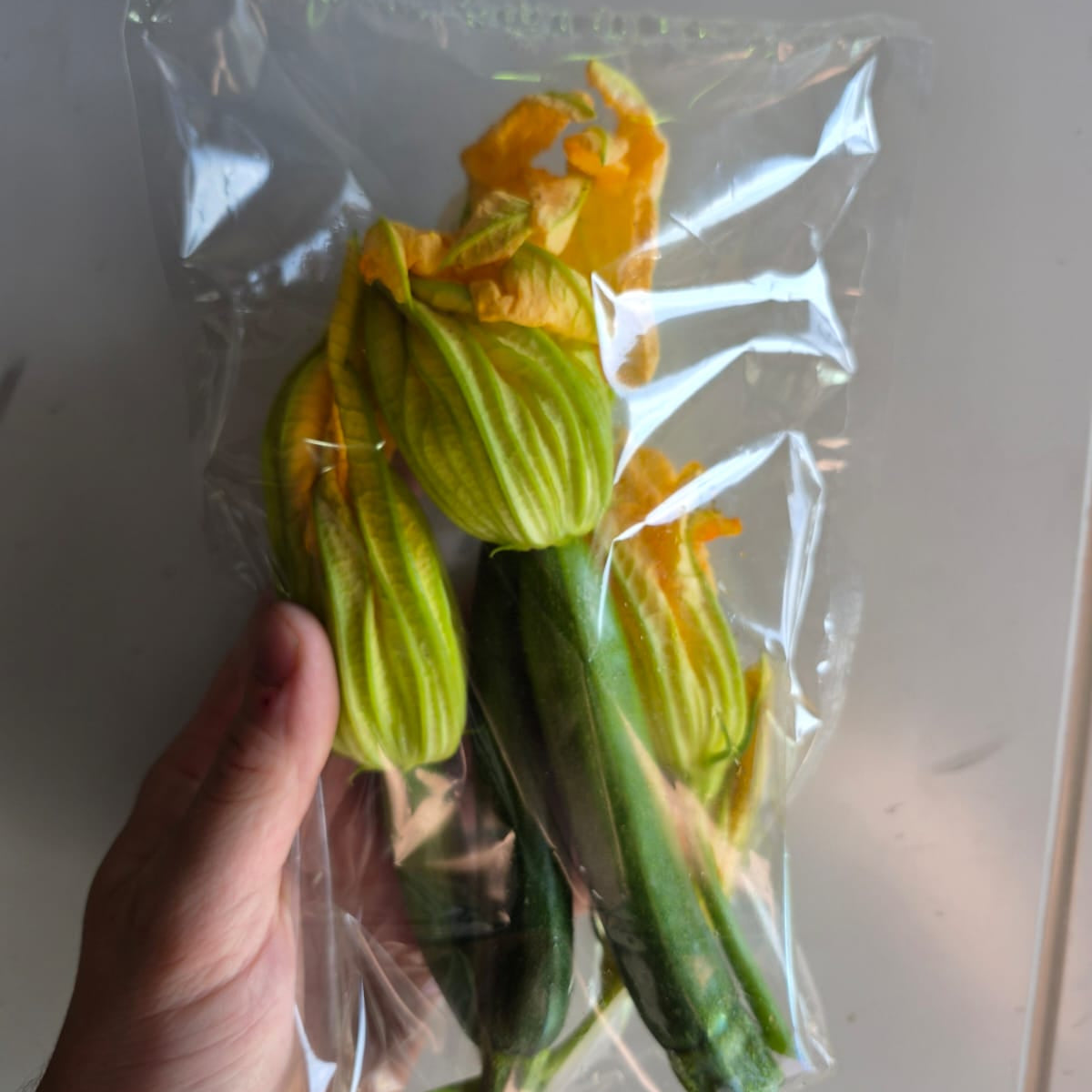 Marrow Pack with Flowers