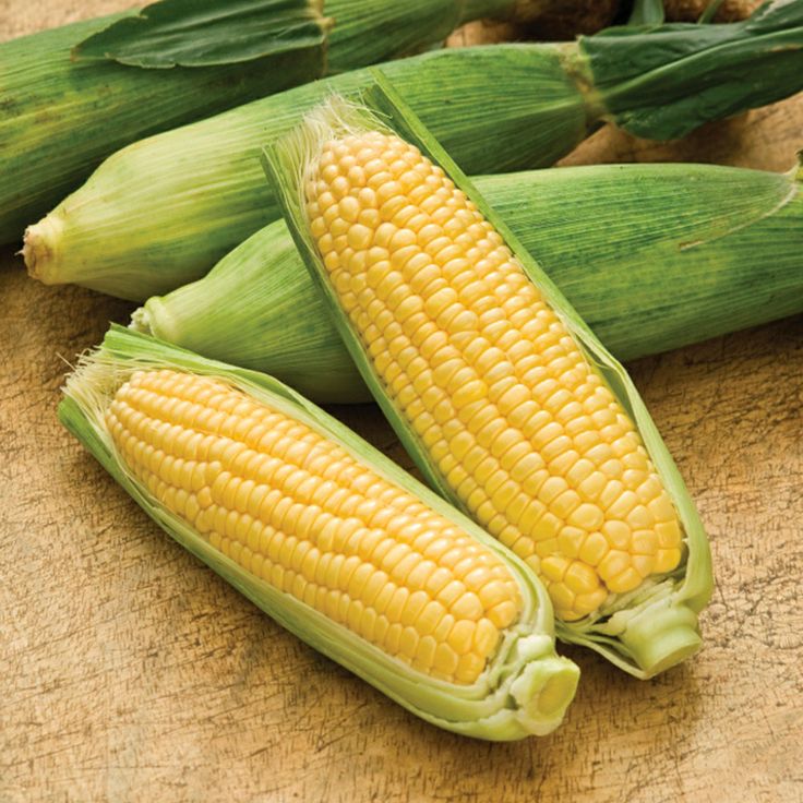 Sweetcorn