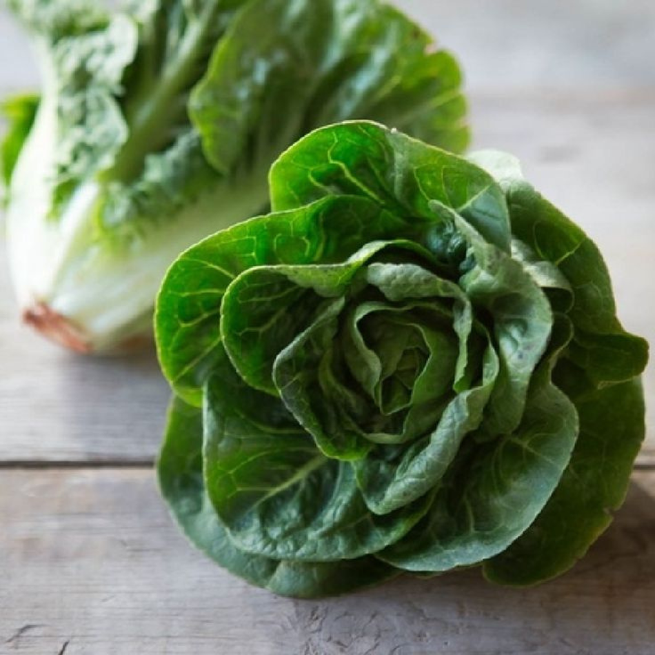 Baby gem lettuce