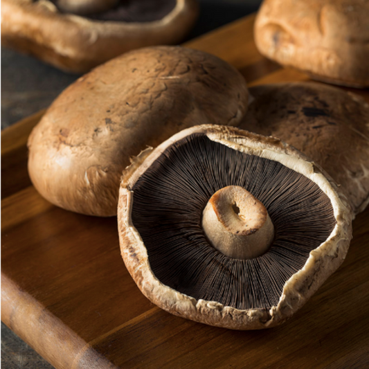 Brown Mushroom