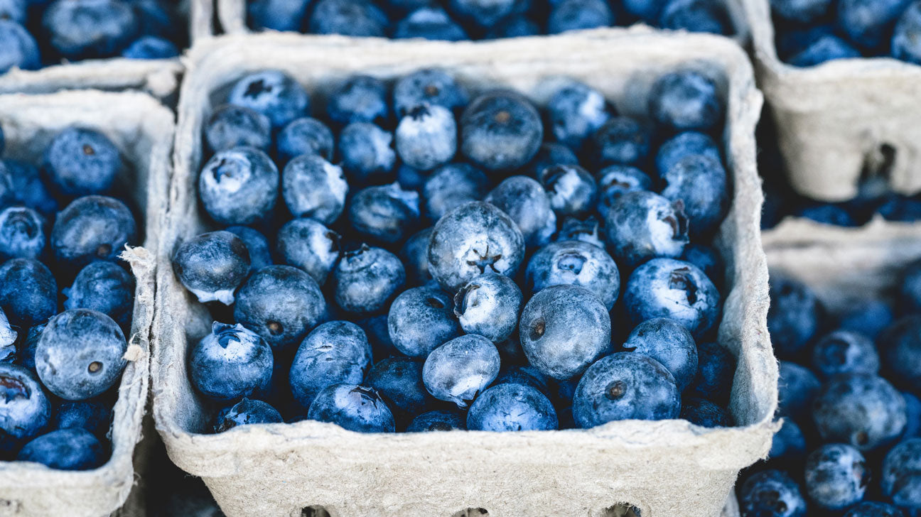 Blueberry Special