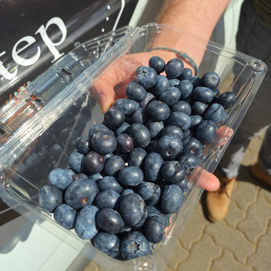 Blueberry Special