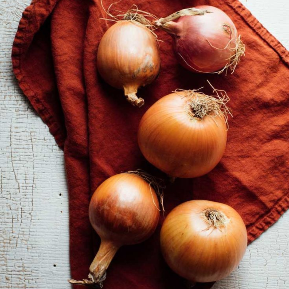 Cape Brown Onion