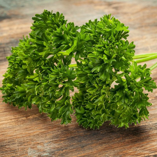 Parsley