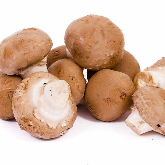 Porto bellini Mushroom 250g