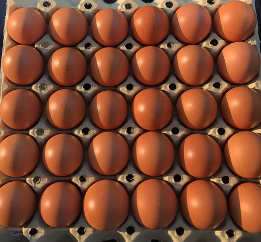 Free Range Eggs (30 eggs)