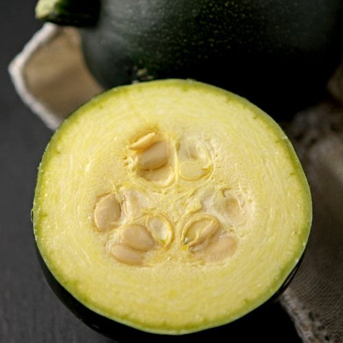 Gem Squash Box of 5