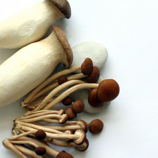 Exotic mushroom mix