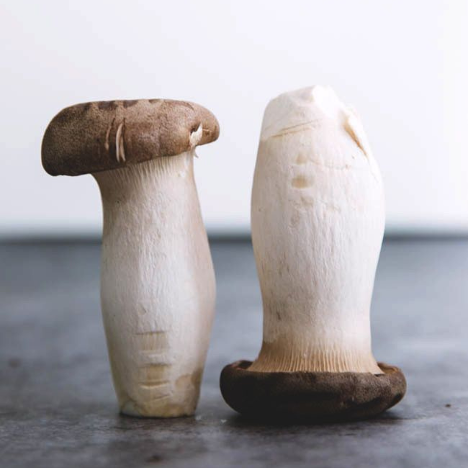 King oyster mushroom