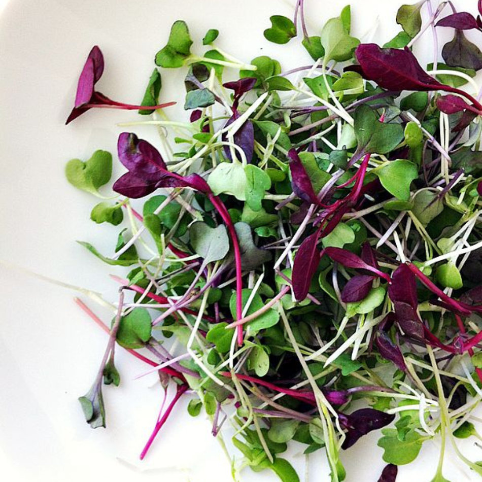 Micro greens