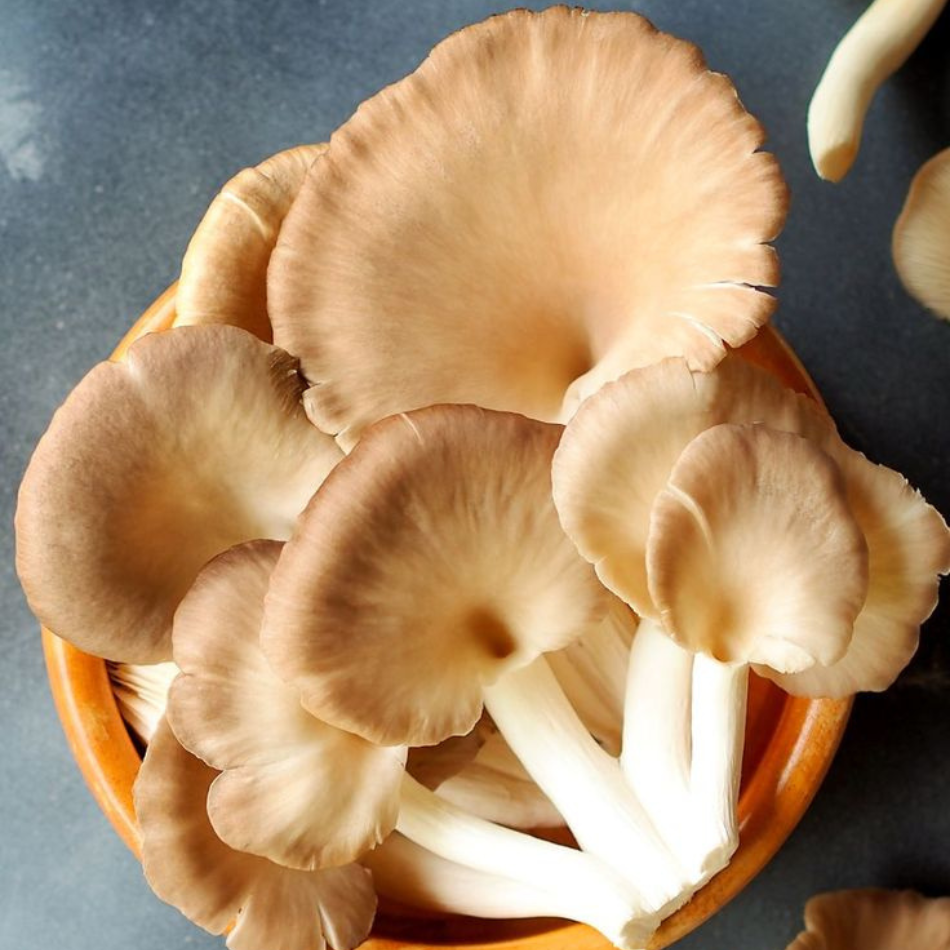 Oyster mushrooms