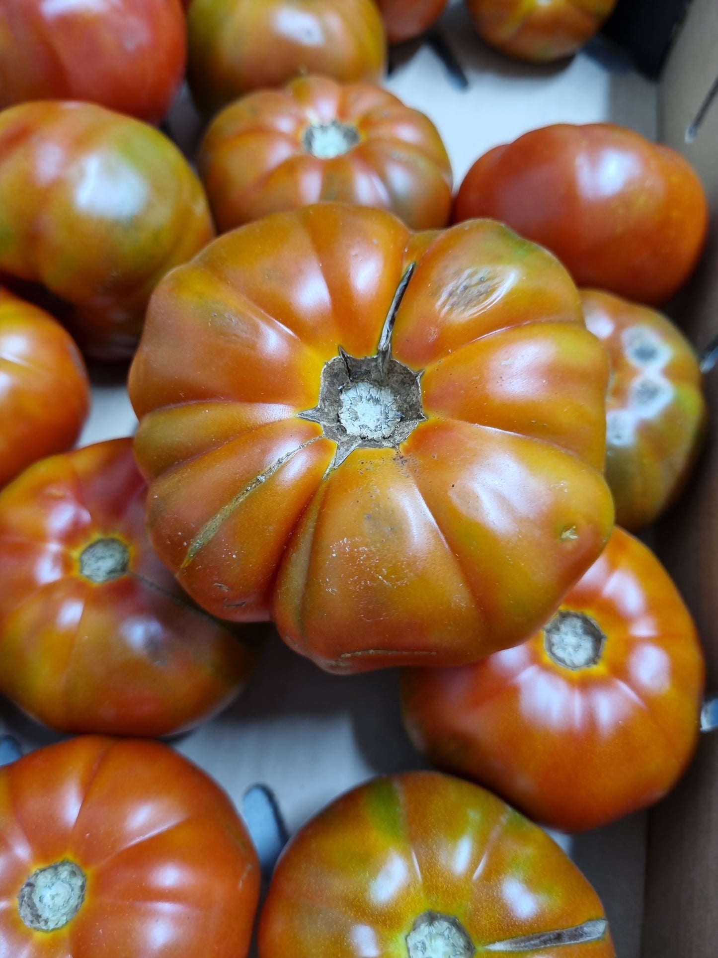 Heirloom Tomatoes