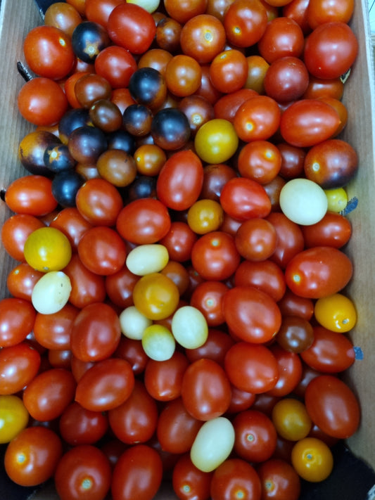 Heirloom Cherry Tomatoes