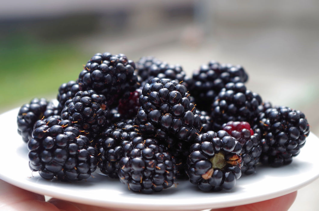 Blackberries 125g