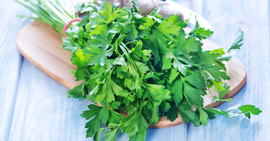 Flat Leaf Parsley 100g